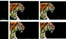 1500/-273度青春_1200字