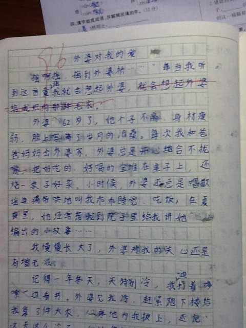 关于完美的成分：我的“完美”弟弟？ _600字