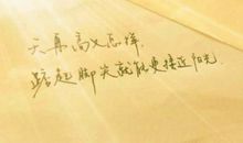 踮起脚尖，就能更靠近阳光_650字