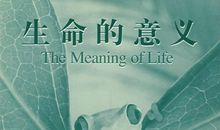 生命的意义_1000字