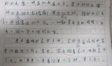 我只想好好的_100字