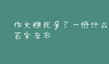 和申阳打架_500字