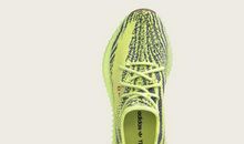 高三说明文：椰子_900字