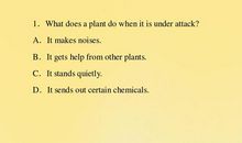 高三说明文：热闹的小街_1000字