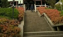 高三说明文：智标塔_1200字