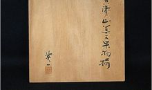 高三说明文：金黄的叶子_1200字