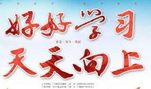 高三说明文：有趣的荷兰鼠_1200字