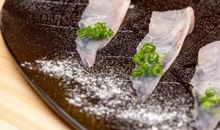 高三状物作文：神奇的种子_900字