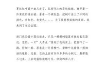 高三状物作文：石阶旁的野雏菊_800字