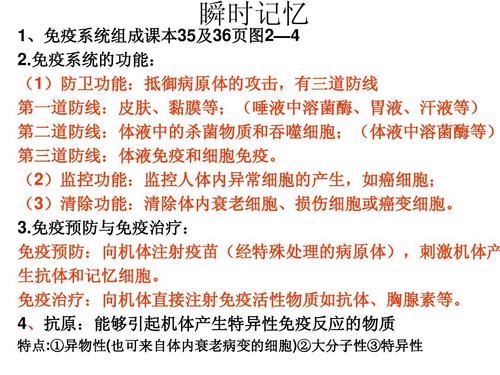 高调组成：更多肉类_1000字