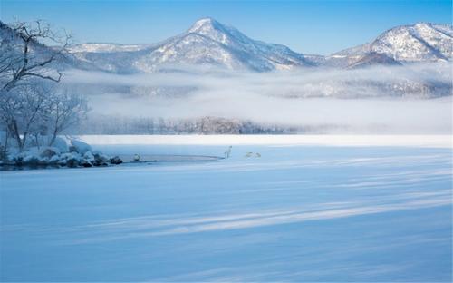雪景上的构图：冬天雪_800字