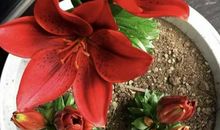 河东与河西_800字