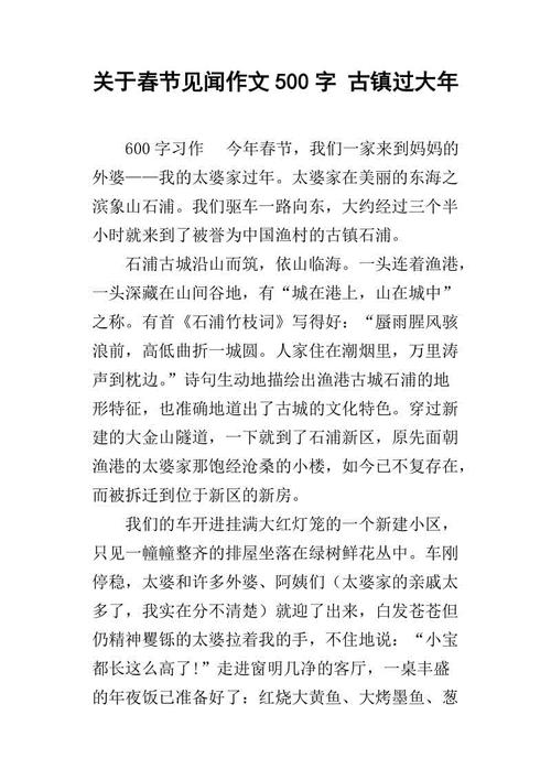 体验_500字