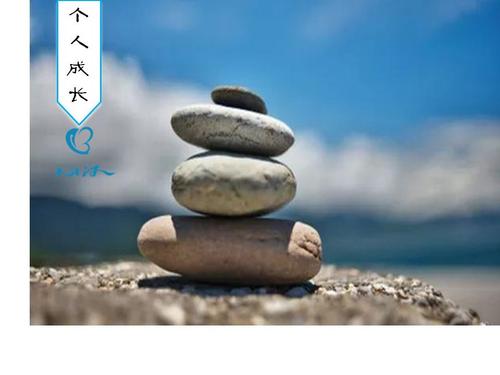 渴望理解心脏_900字