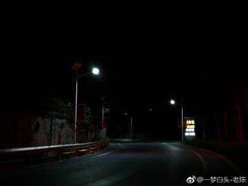 放弃孤独的_300字