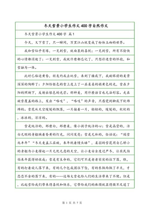 在雪景上的构图：雪的棕榈_900字