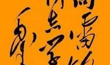 向雷锋叔叔学习_800字