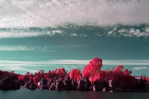 2012年最美丽的风景，只让人欣赏_1500字