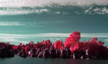 2012年最美的风景，只让有心的人欣赏_1500字