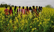 2012年美在我们身边_800字