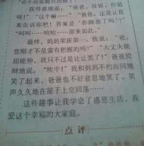 关于家庭论文：家庭有趣_800字