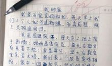 关于家的作文：我的家_900字