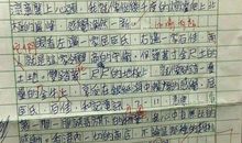 关于家的作文：我们家_800字