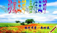 珍爱生命，善待动物！_550字