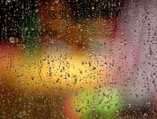 走在风雨中_400字