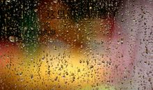 走在风雨中_400字