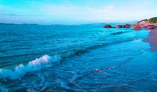 夏季的海风_250字