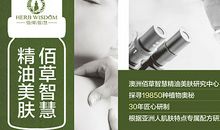 小草的见证_650字