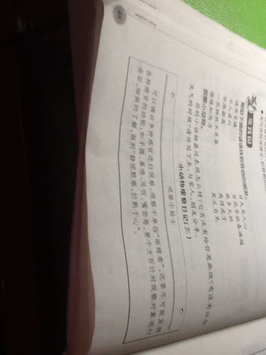 反映了堕落的叶子_100字