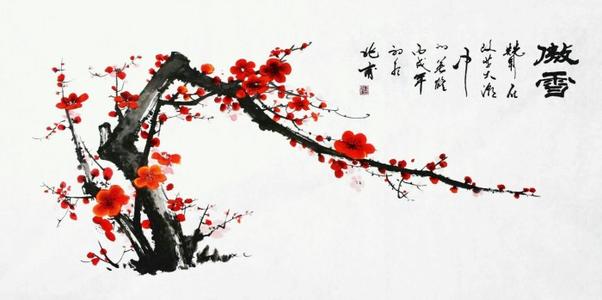 是一个像梅花的女人_700字