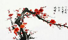 做一个梅花般的女子_700字