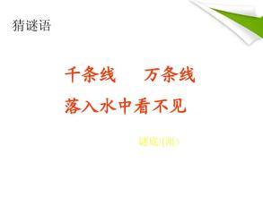 秋雨_900字