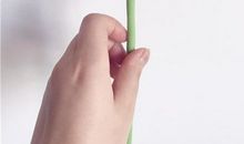 美丽的风信子_150字