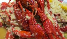 胆小的龙虾_100字