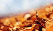 回忆，渐行渐远_2000字