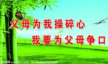 难忘的竹林_250字