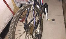 最心爱的自行车_200字