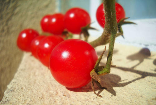 红色圣女孩_200字