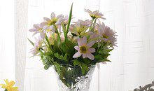 插在花瓶里的鲜花_550字