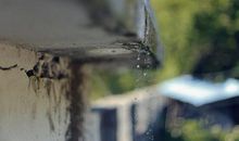 滴水可以穿石_900字