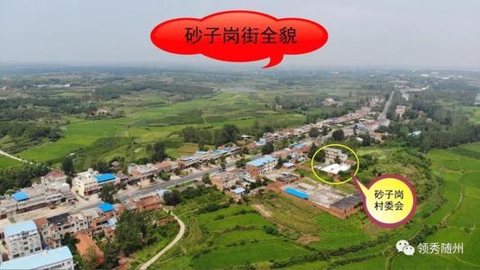 神秘的“飞翔的房子”_700字