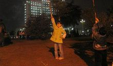 海南过年之放烟花_650字