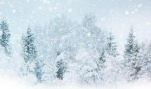 父亲优美段落：父亲的月光段落_900字