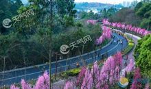 春天的绿心公园_550字