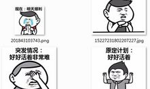 梦想与现实的差距_800字