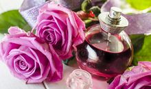 恋爱是充满玫瑰的香味_800字